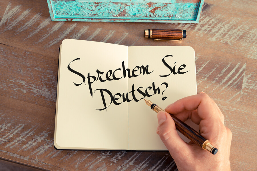 you are an ass translation into german South asian shows